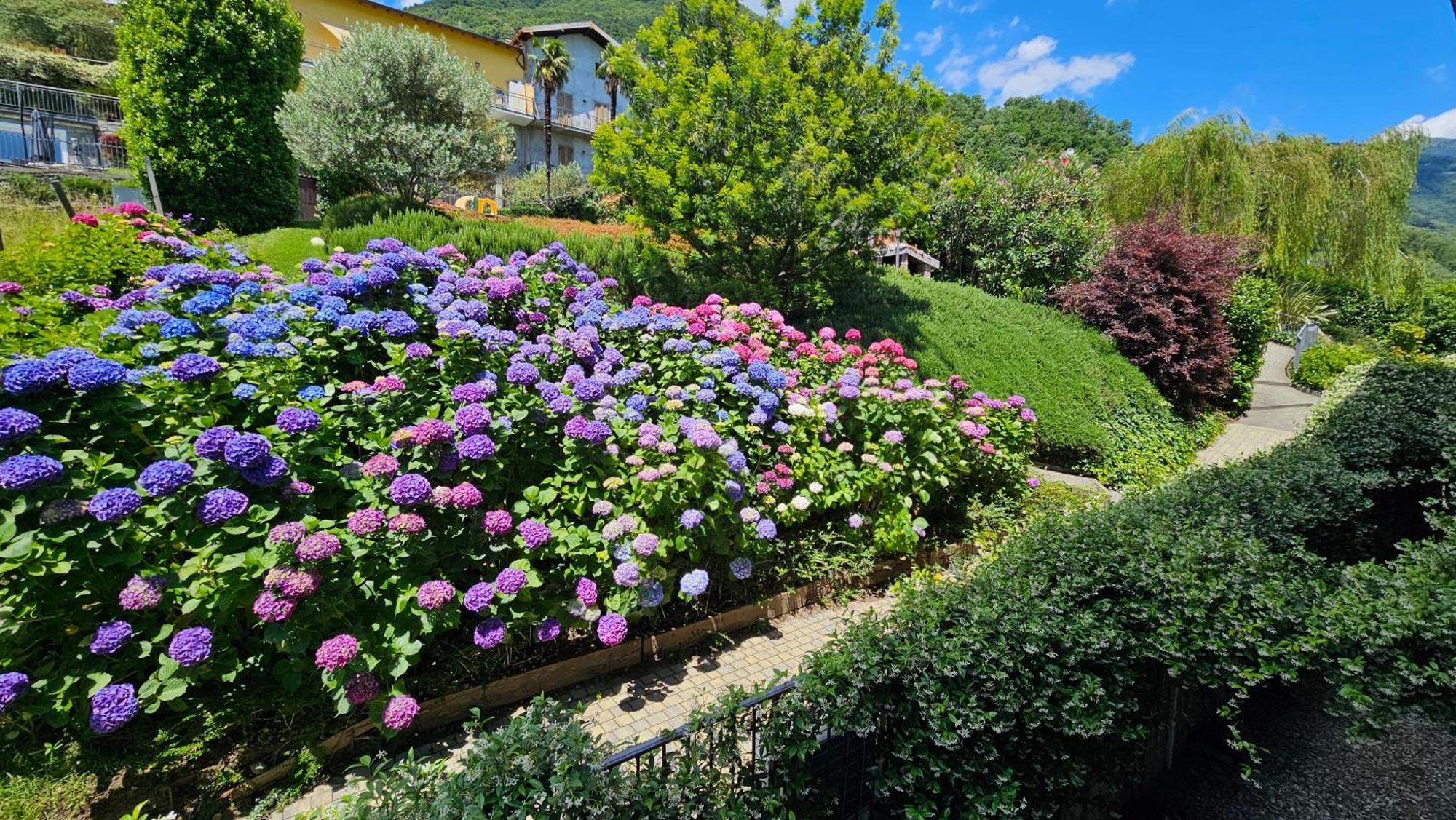 Ferienwohnung Il Giardino Di Lory Vercana Exterior foto